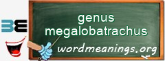 WordMeaning blackboard for genus megalobatrachus
